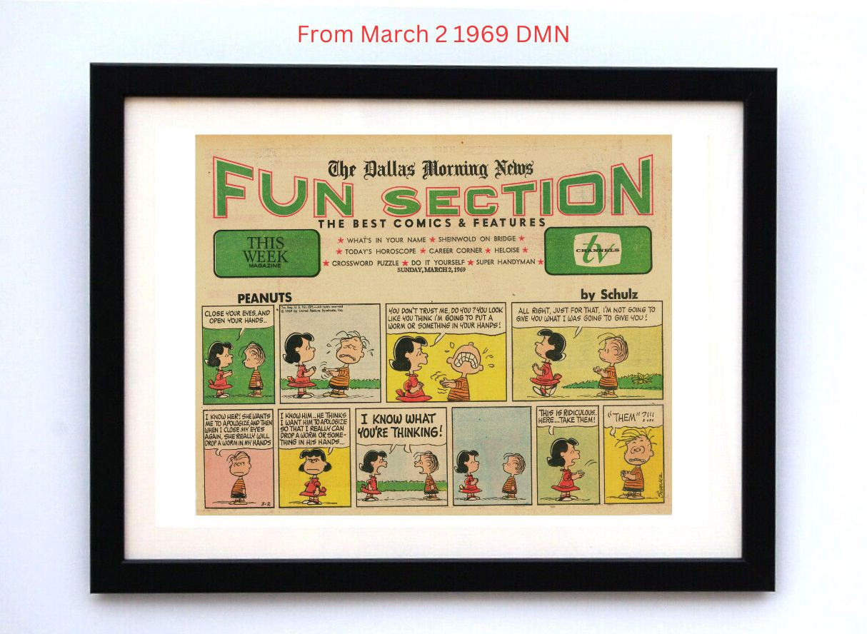 Peanuts by Charles Schultz - Framed Vintage Charlie Brown Comics