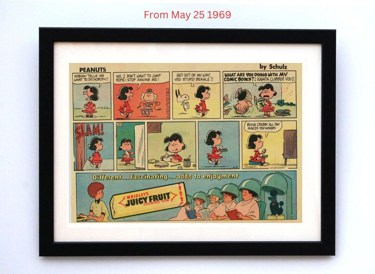Peanuts by Charles Schultz - Framed Vintage Charlie Brown Comics