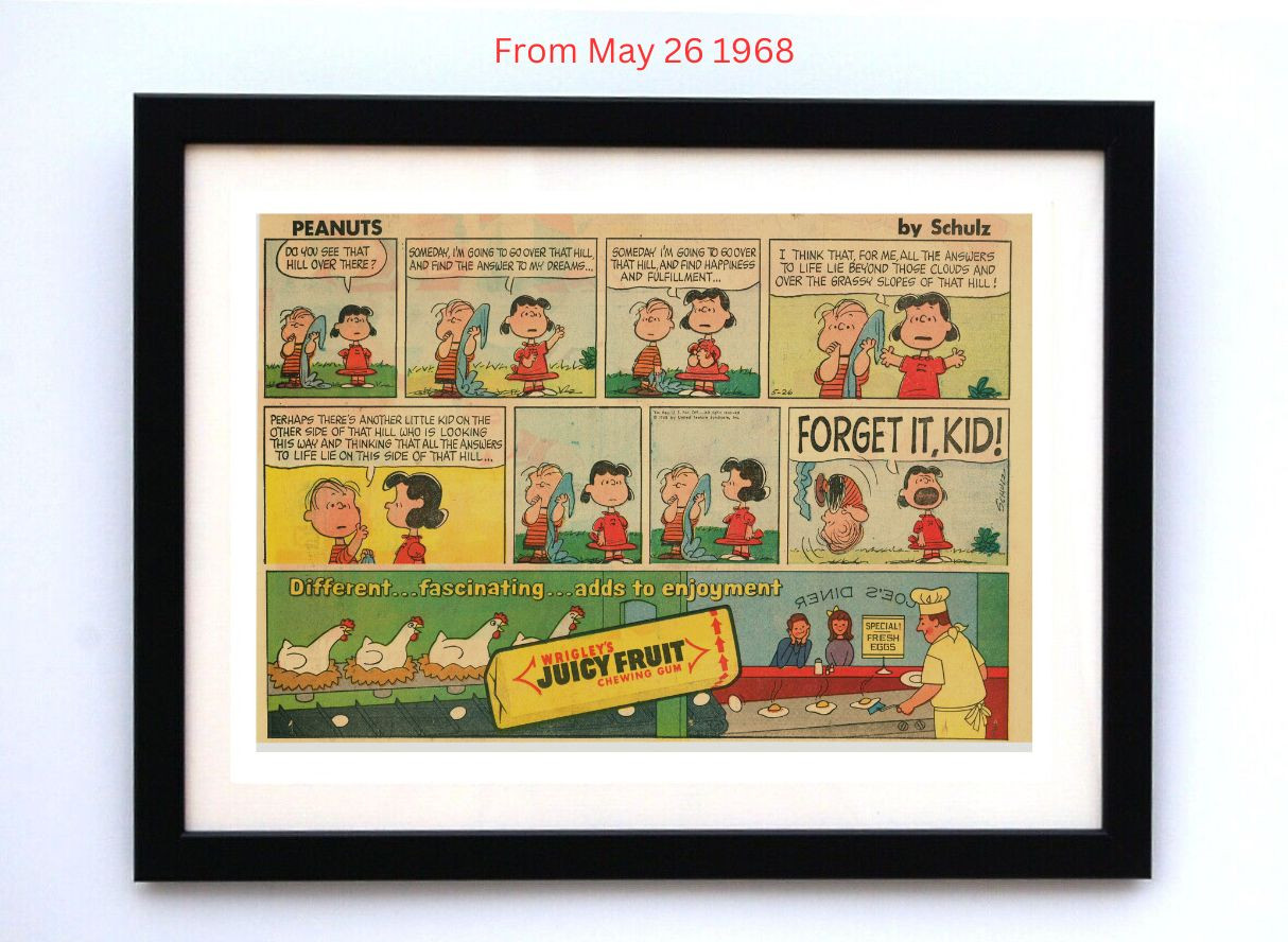 Peanuts by Charles Schultz - Framed Vintage Charlie Brown Comics