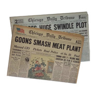 Chicago Tribune Birthday Newspaper 