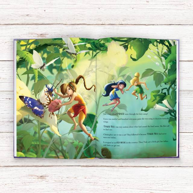 Personalized Disney Fairies Story Book