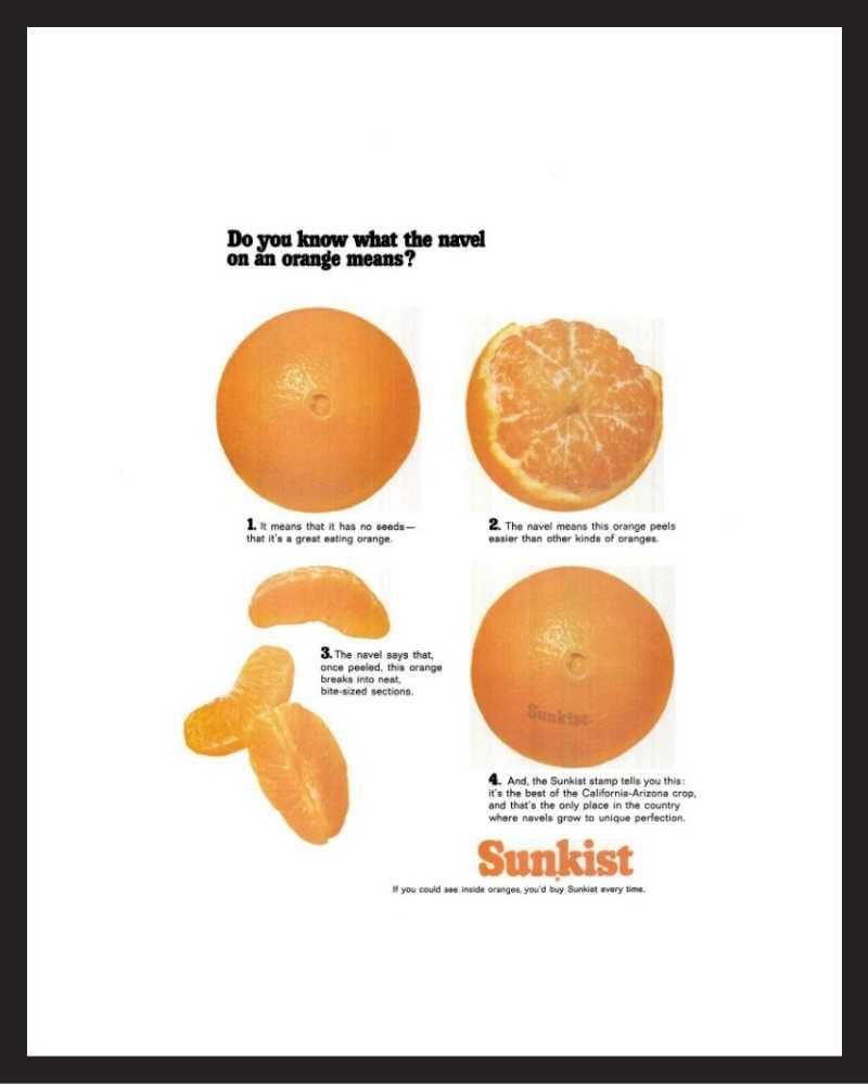 LIFE Magazine - Framed Original Vintage Ad - 1966 Sunkist Oranges