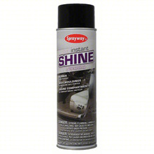 INSTANT SHINE