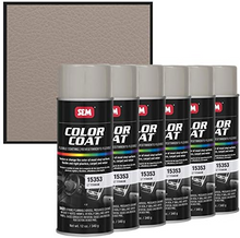 COLOR COAT™ Lt Titanium