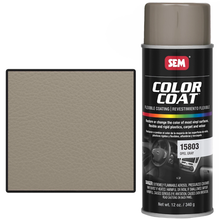 COLOR COAT™ Opel Gray