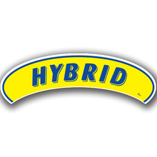 Vinyl Highlights Eyebrow Slogans "Hybrid" Blue/Yellow 12/Pack
