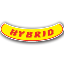 Vinyl Highlights Smile Slogans "Hybrid" Red/Yellow 12/Pack