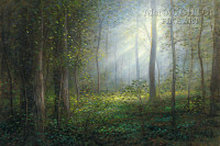 Sacred Grove 16x24  LE Signed & Numbered - Giclee Canvas