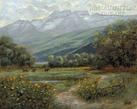 Timpanogos Meadow 11 x 14 LE Signed & Numbered - Giclee Canvas