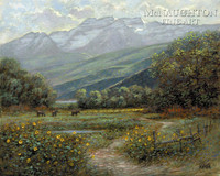 Timpanogos Meadow 20 x 24 LE Signed & Numbered - Giclee Canvas