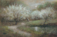 Blossoms in Moonlight 20x30 LE Signed & Numbered - Giclee Canvas