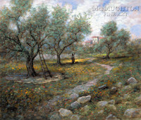 Olive Orchard 11x14 LE Signed & Numbered - Giclee Canvas