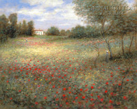 Field of Colors 16x24 LE Signed & Numbered - Giclee Canvas