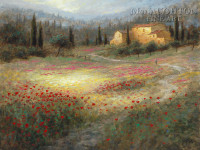 Umbrian Poppy Fields 20x24 LE Signed & Numbered - Giclee Canvas