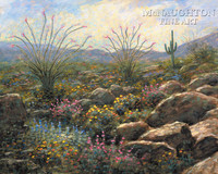 Desert Bloom 24x30 LE Signed & Numbered - Giclee Canvas