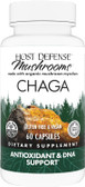 Chaga, 60 Caps, Fungi Perfecti, Antioxidant, DNA Support