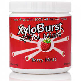 Buy Xylitol Mints Berry Mints 6.35 oz (180 g) 300 Pieces Xyloburst Online, UK Delivery, Oral Teeth Dental Care Xylitol Gum Candy