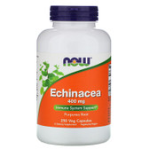 UK Buy Echinacea Purpurea Root 400 mg 250 Caps, Now Foods 