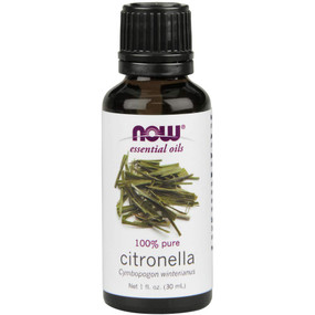 Citronella Oil 1 oz Now Foods Aromatherapy