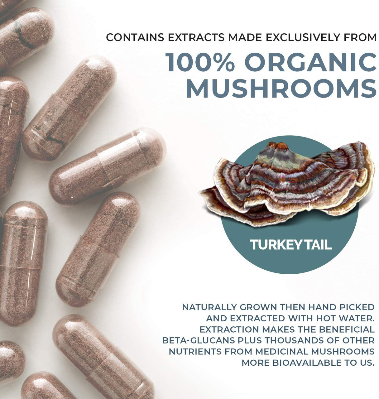 Buy Turkey Tail Extract 90 Caps Real Mushrooms Immune Support Uk Shop