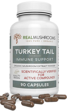 UK Buy Turkey Tail Extract, 90 Caps, Real Mushrooms, Immune Support