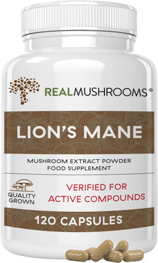 UK Buy Lions Mane, Brain and Focus, 120 Caps, Real Mushrooms