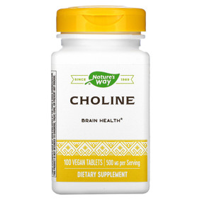 UK Buy Choline 500mg, 100 Tabs, Nature's Way