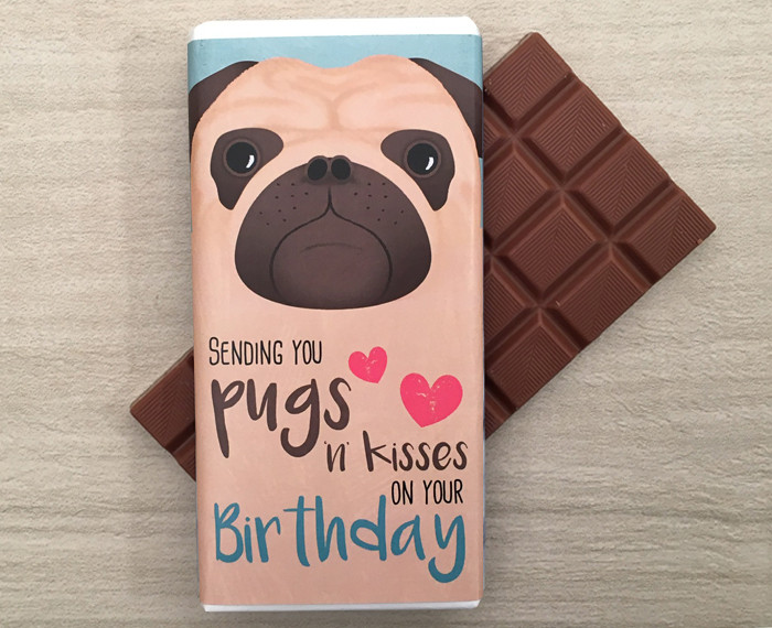 chocolate pug