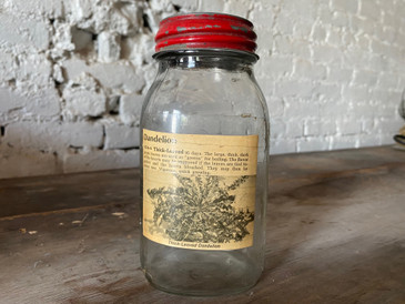 Authentic Original Seed Jar- Dandelion