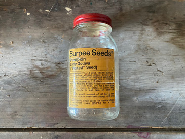 Authentic Original Seed Jar- Pumpkin
