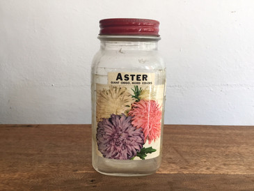 Original Atlas Seed Jar from Zettler Hardware Store, Aster