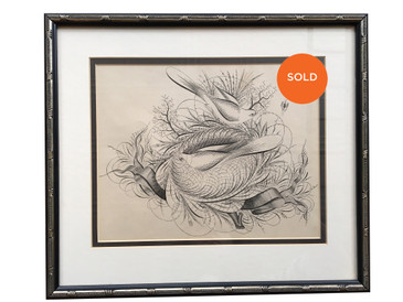 Williams and Packard Illustration / Bird's Nest