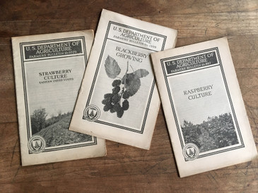 Three Booklets about Berries, Farmers' Bulletins 1920s