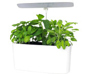 Sunblaster Nano Growlight Garden