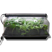 Sunblaster Nanodome Mini Greenhouse with T5 light