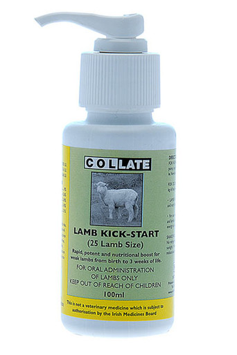 Collate Lamb Kick Start