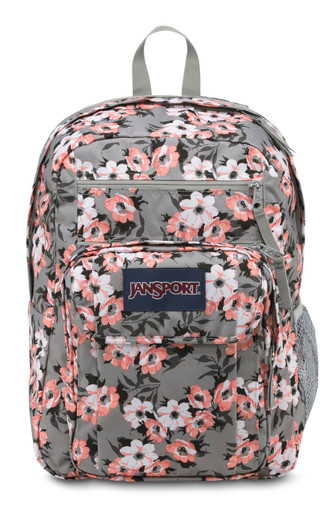 jansport digital backpack