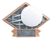 4 1/2" x 6" Volleyball Diamond Plate Resin