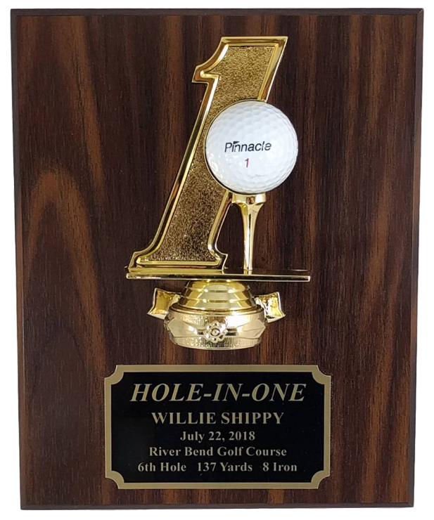 HoleInOne Plaque Trophy House Pros / Meridian Trophy