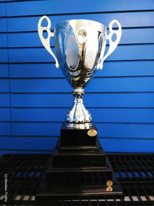 22" Silver Cup 3-Tier Trophy