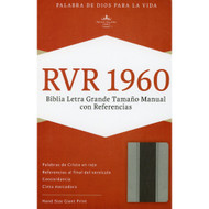 Biblia RVR 1960 Letra grande Tamaño Manual con Referencias (Gris)
