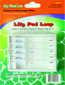 Slides - Mini Set - Lily Pad Leap