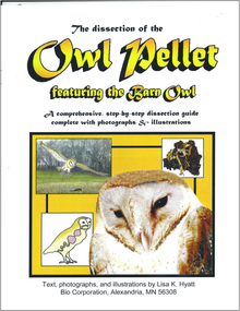 Owl Pellet Dissection Reference Guide