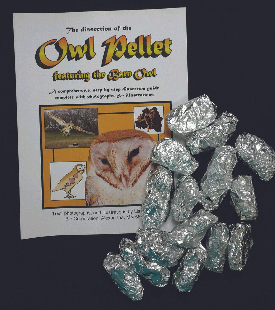 Medium Barn Owl Pellets for Classroom Use