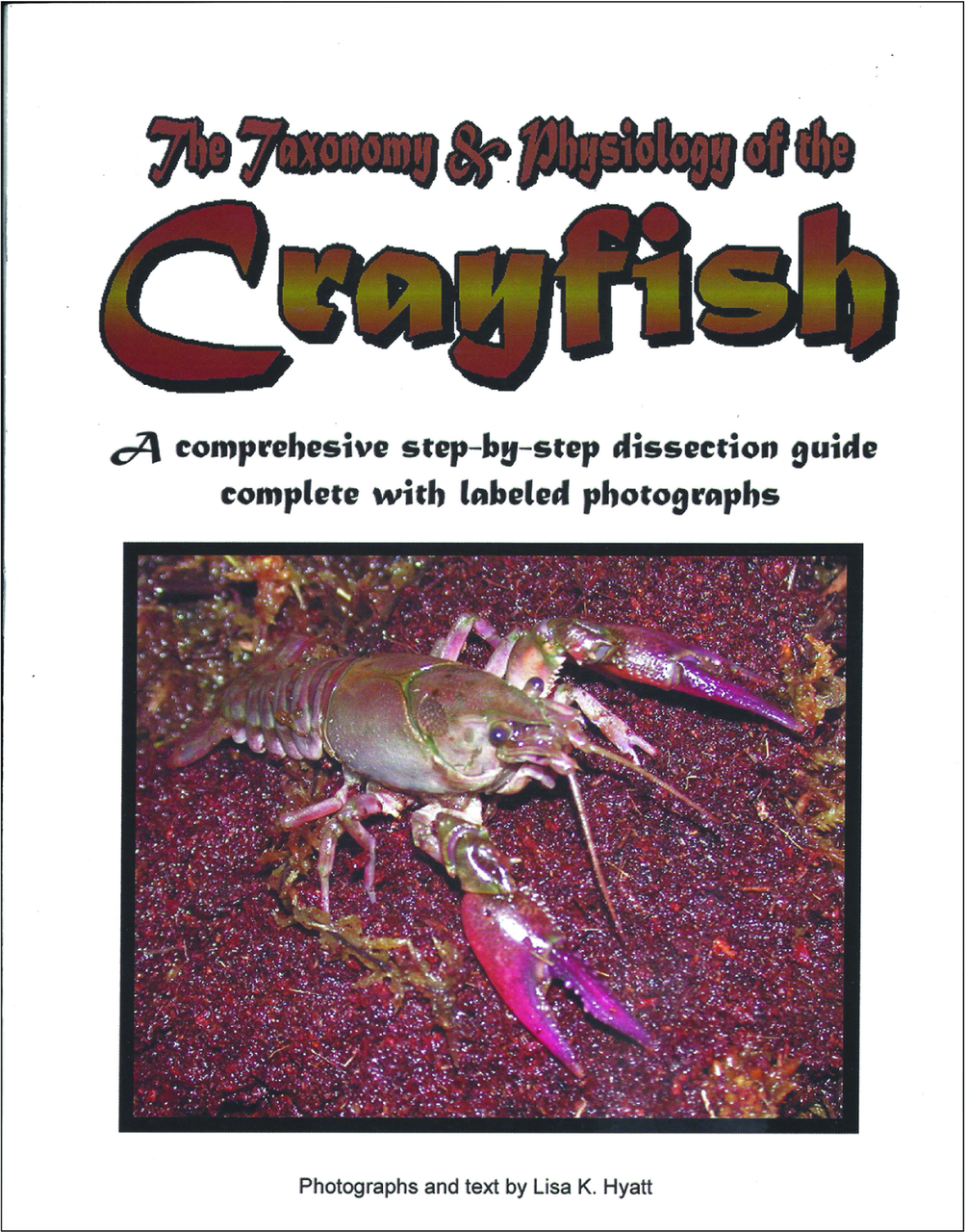 crayfish-dissection-reference-guide-biologyproducts