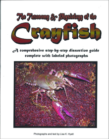 Crayfish Dissection Reference Guide