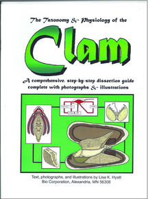 Clam Dissection Reference Guide