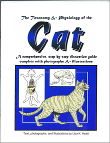 Cat Dissection Reference Guide