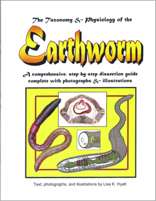 Earthworm Dissection Reference Guide