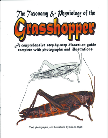 Grasshopper Dissection Reference Guide